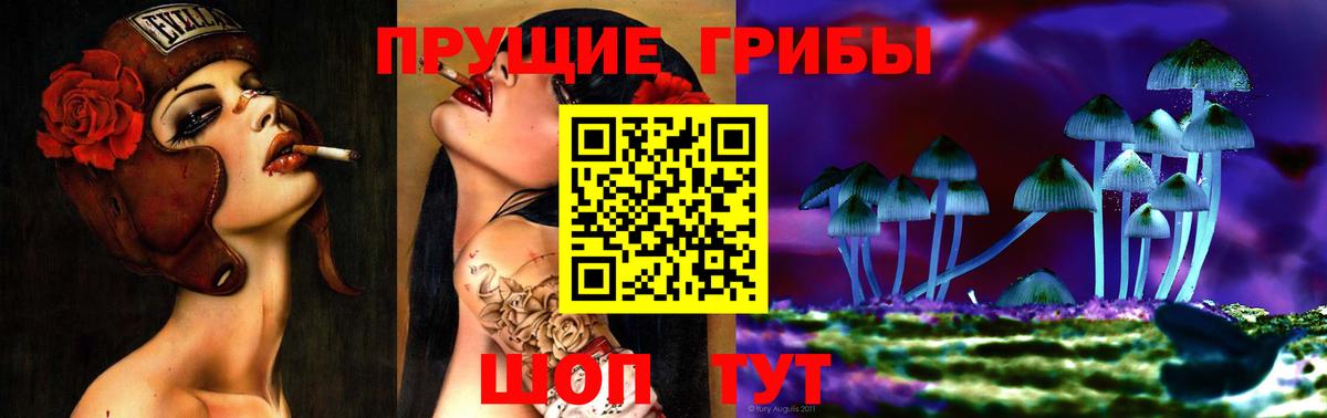 Псилоцибиновые грибы мухоморы Сургут